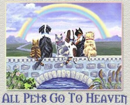 All pets go to heaven e1702018542340