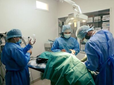 Spinal Surgery